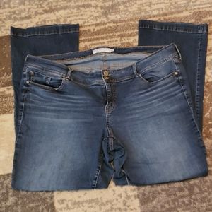 Torrid 22XT boot cut jeans